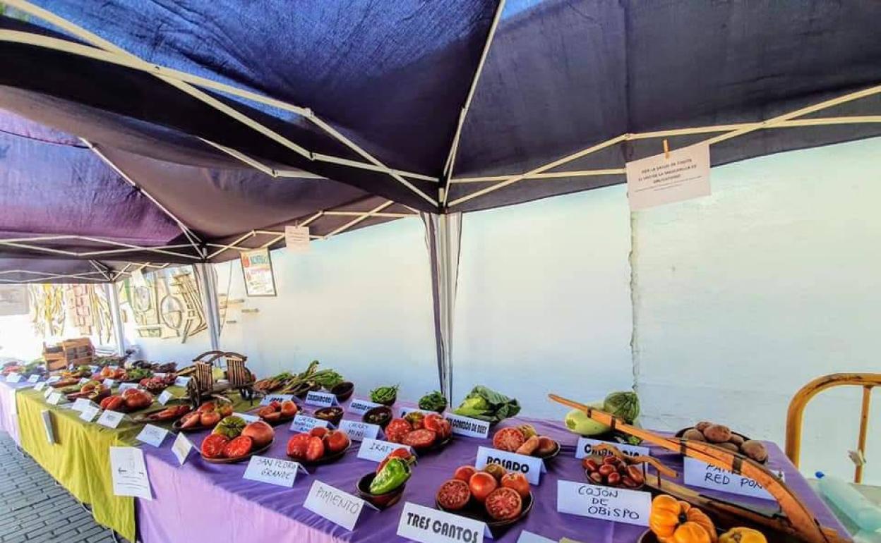Variedades de tomate expuestas en el mercado.