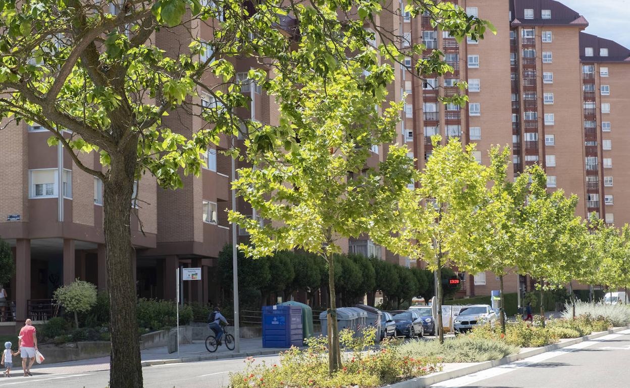 Plantación viaria de árboles en el barrio de Parquesol, una de las analizadas en el Plan de Arbolado del Ayuntamiento de Valladolid. 