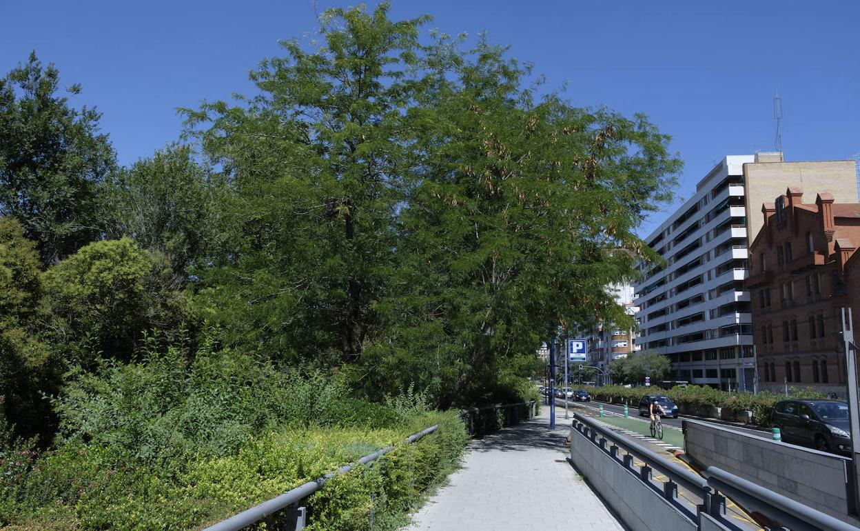 Zona que se ensanchará para acoger el desvío del carril bici de la calle Isabel la Católica. 