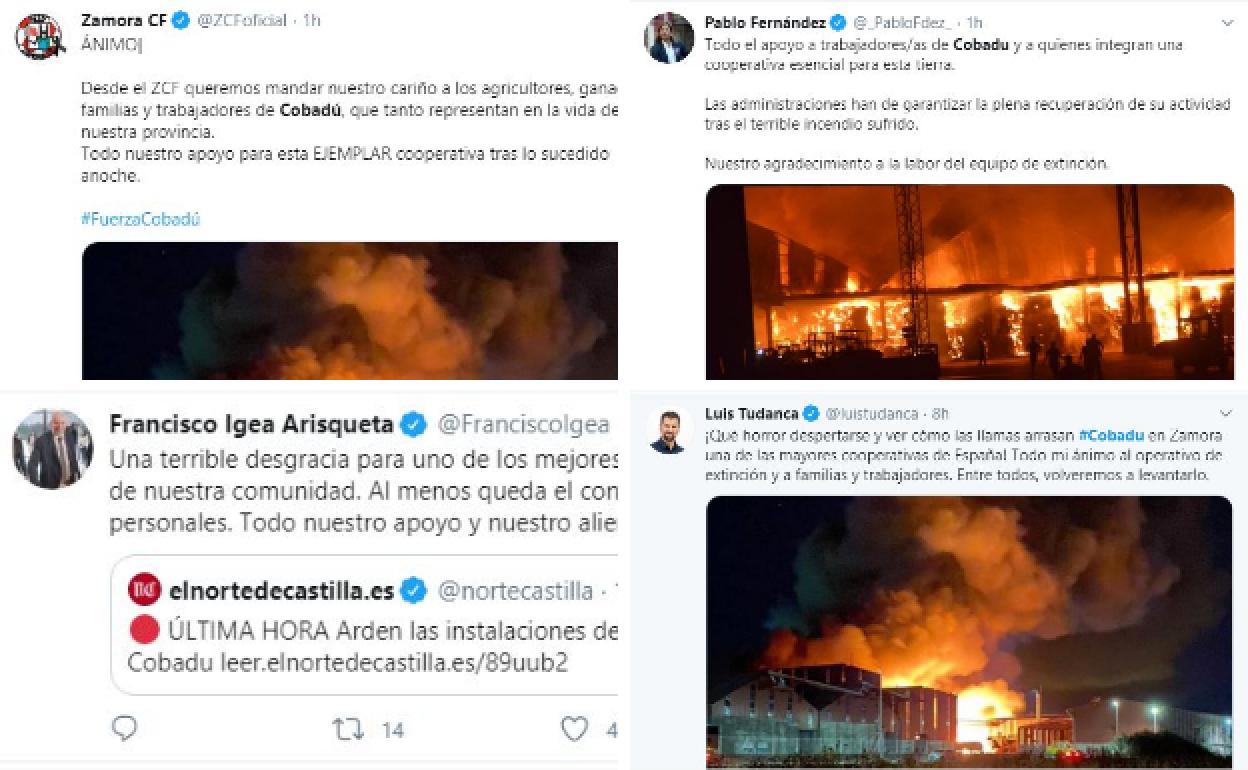 Reacciones de instituciones y representantes políticos en la redes sociales. 