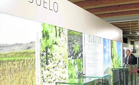 Exposición permanente del Museo Provincial del Vino. 