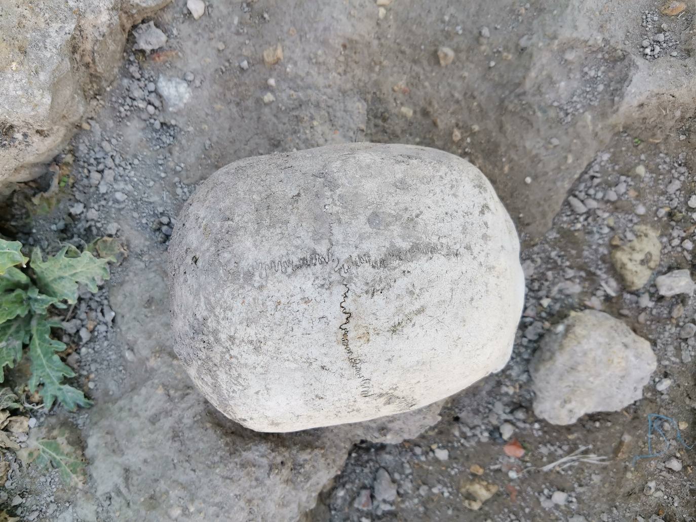 Lugar en el que se encontraron los huesos humanos.