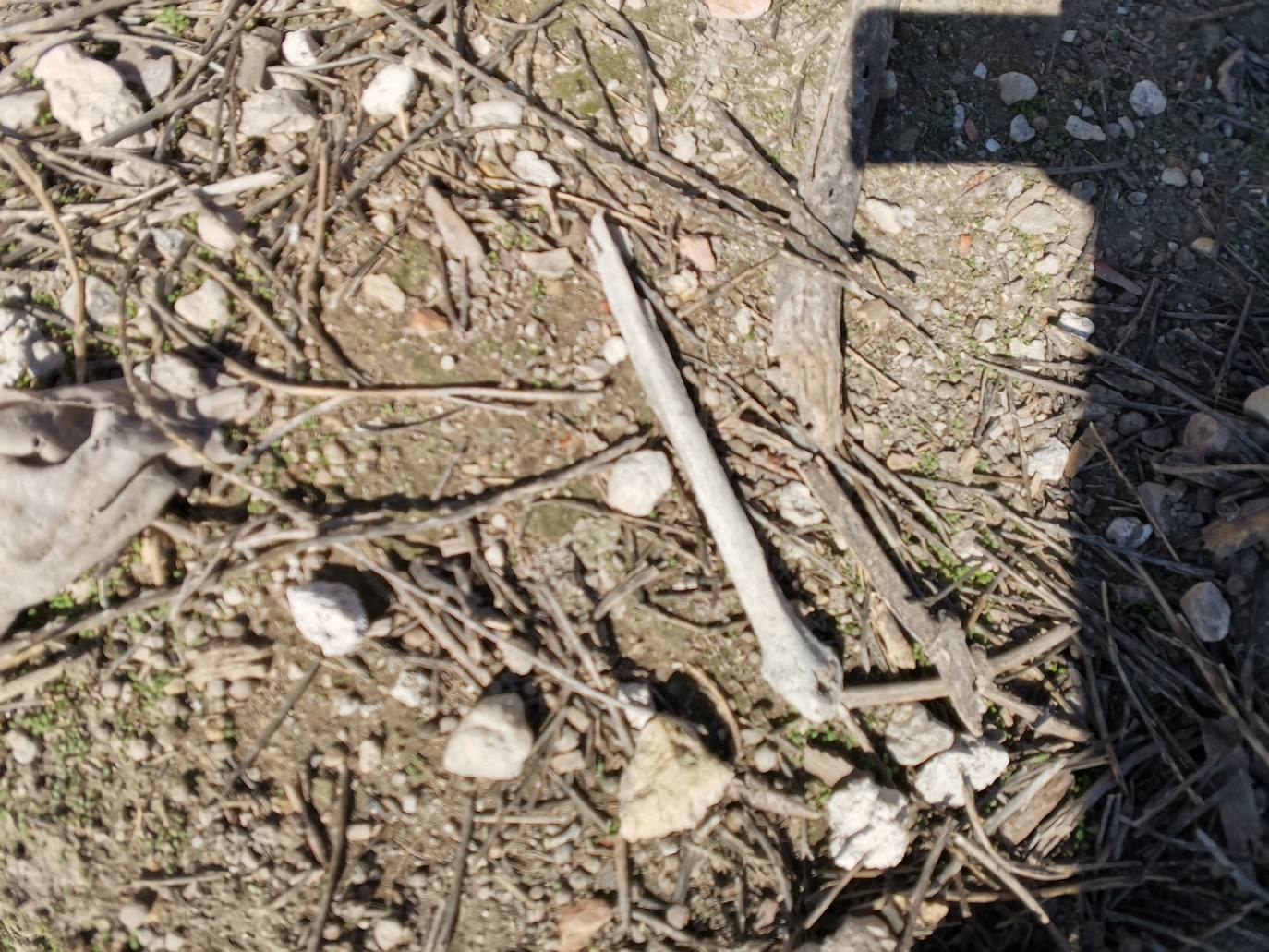 Lugar en el que se encontraron los huesos humanos.