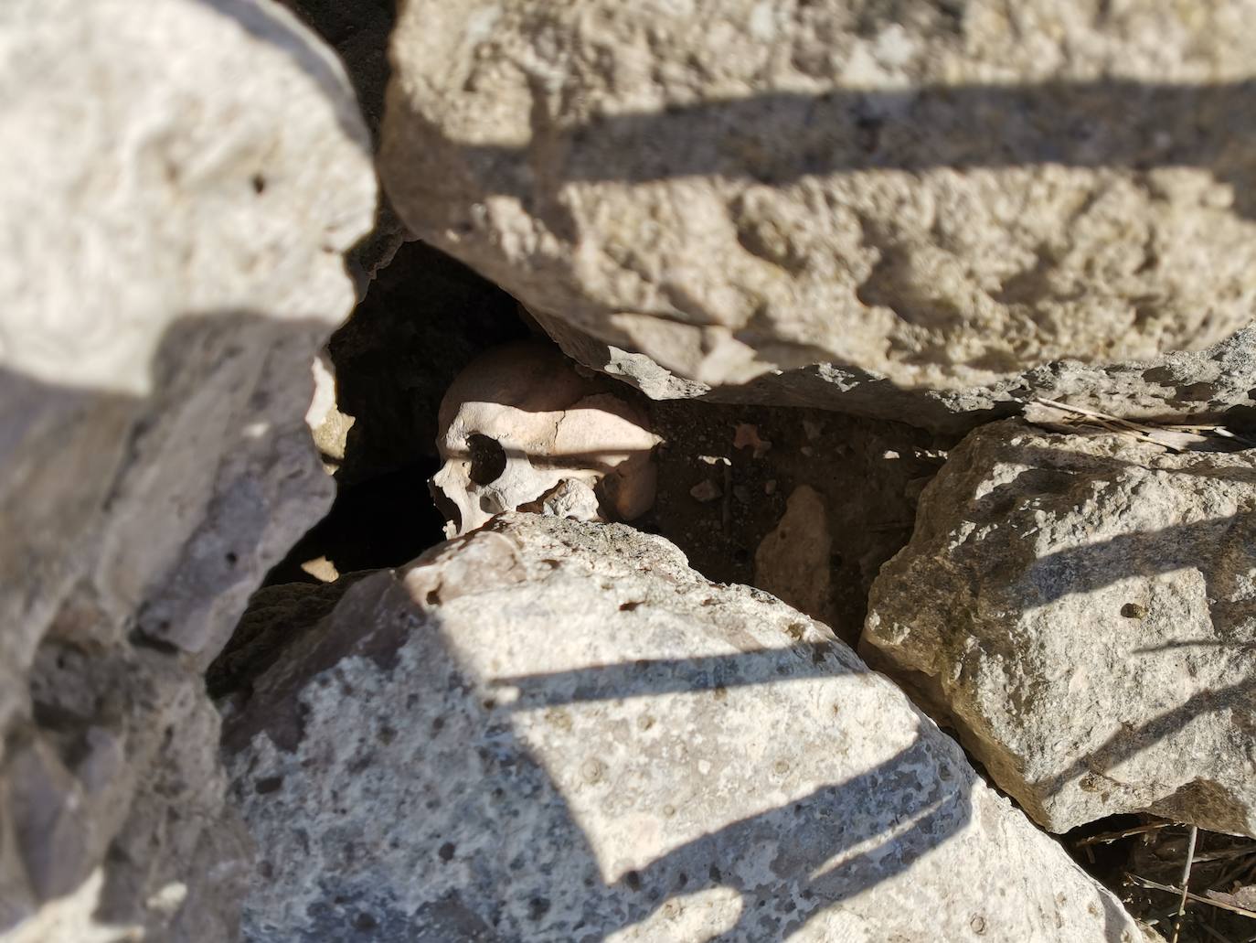 Lugar en el que se encontraron los huesos humanos.