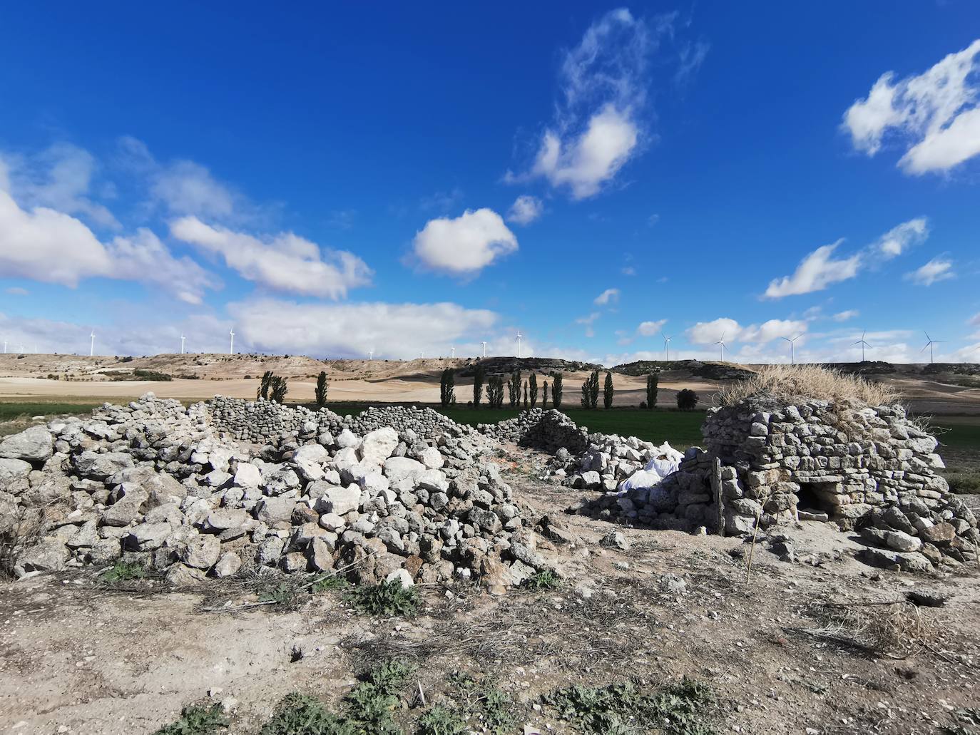 Lugar en el que se encontraron los huesos humanos.