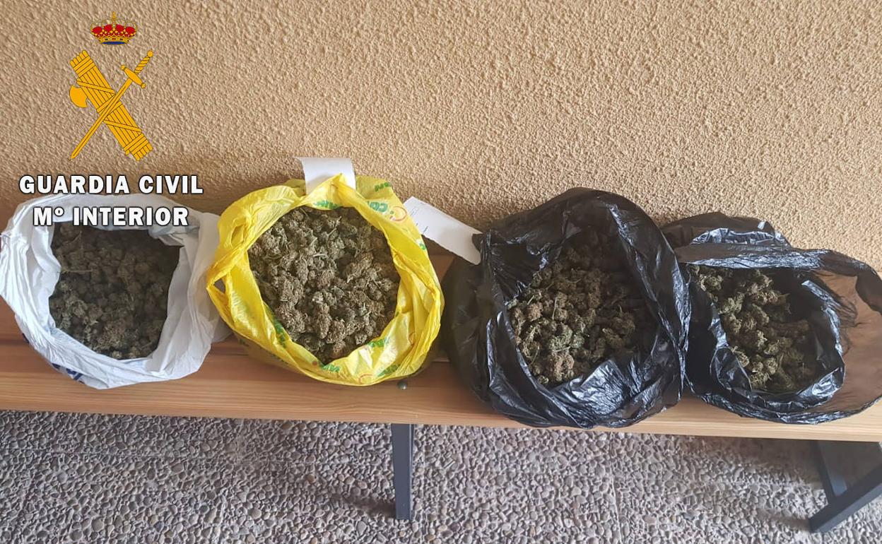 Marihuana intervenida en Martinamor.