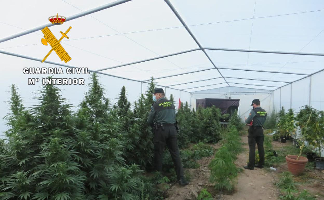 Agentes de la Guardia Civil en la nave en la que fue encontrada la droga.