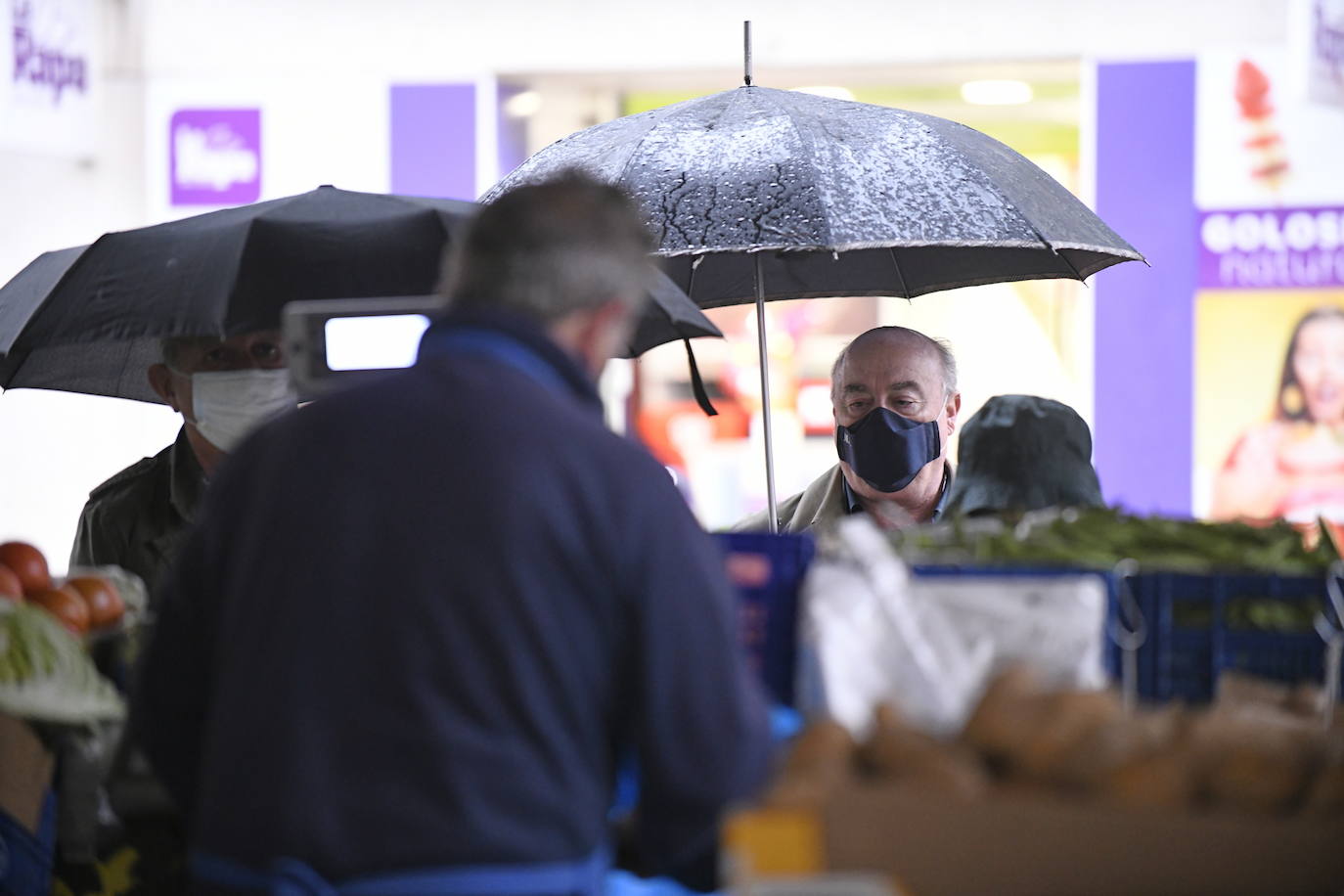 Fotos: Activada la alerta naranja por viento en Valladolid