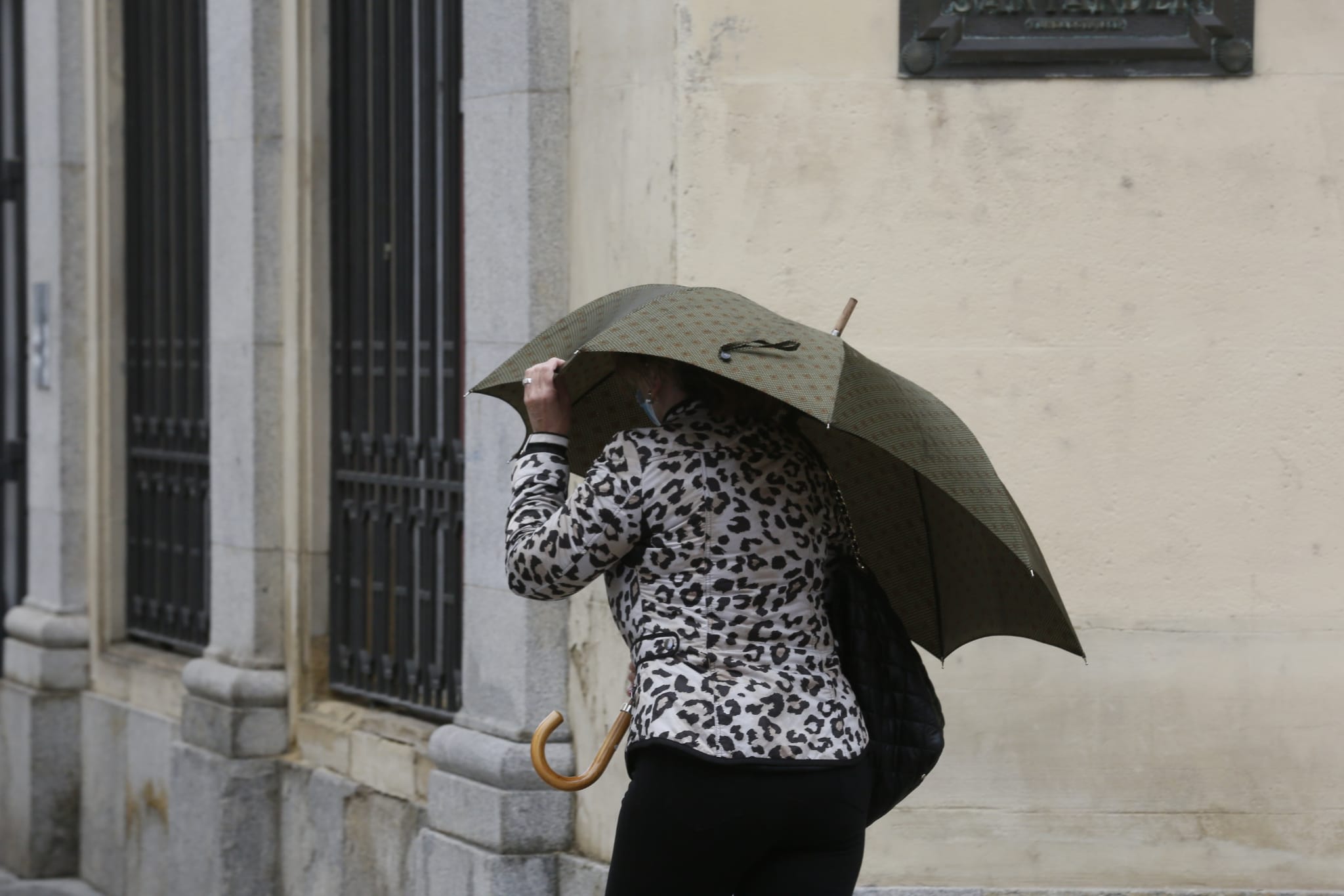 Fotos: Activada la alerta naranja por viento en Valladolid