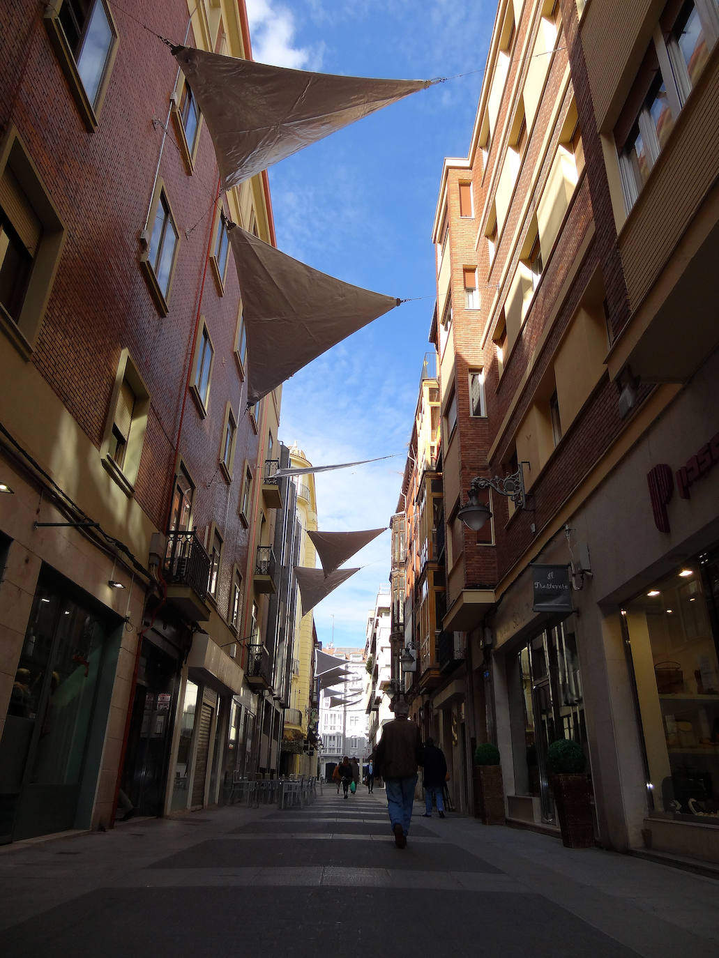 Fotos: Instalación de los toldos vegetales en la calle Santa María de Valladolid