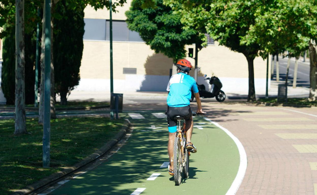 Una persona circual en bicicleta por el carril bici de Salamanca.