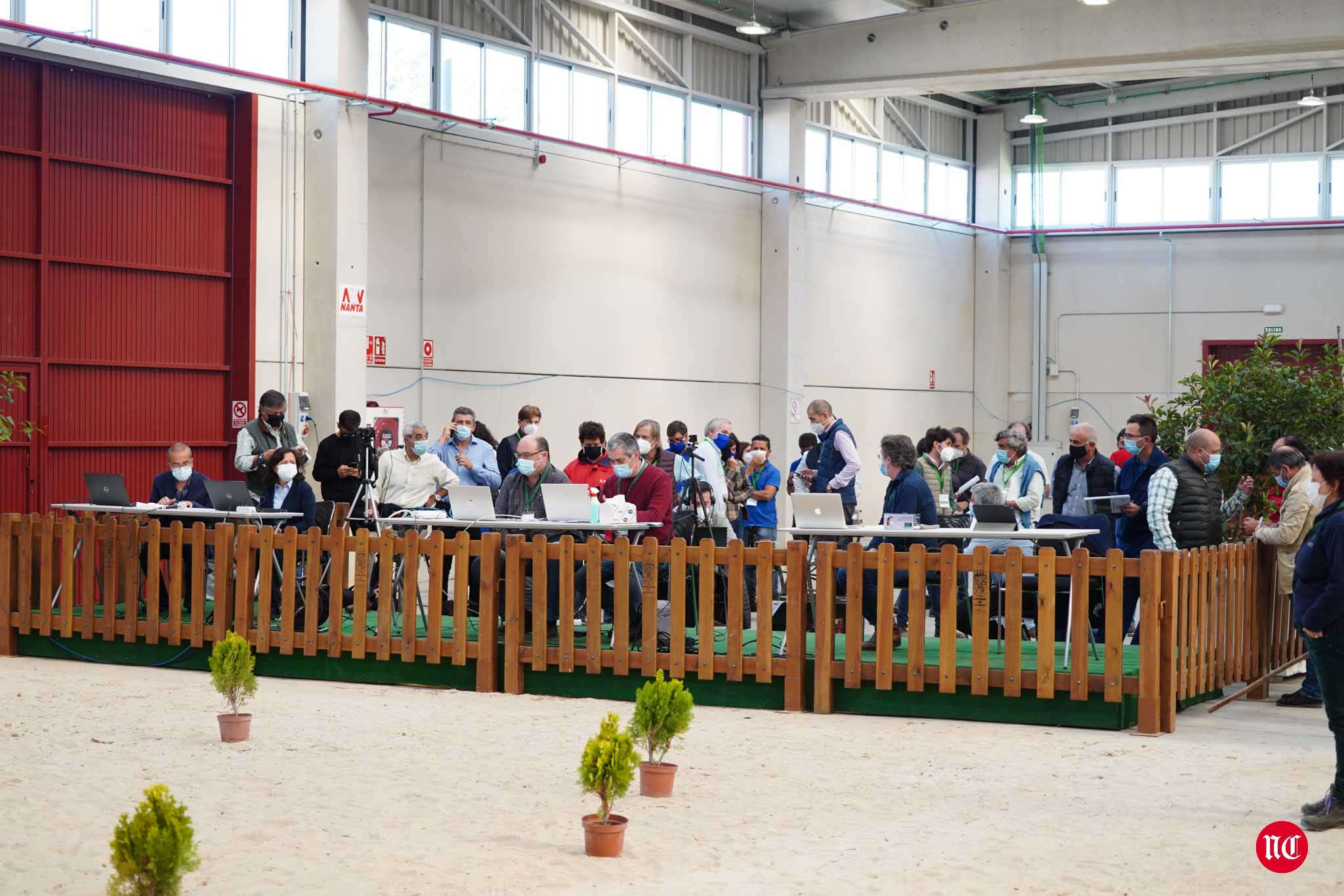 Fotos: La primera subasta on line de ganado vacuno en Salamanca