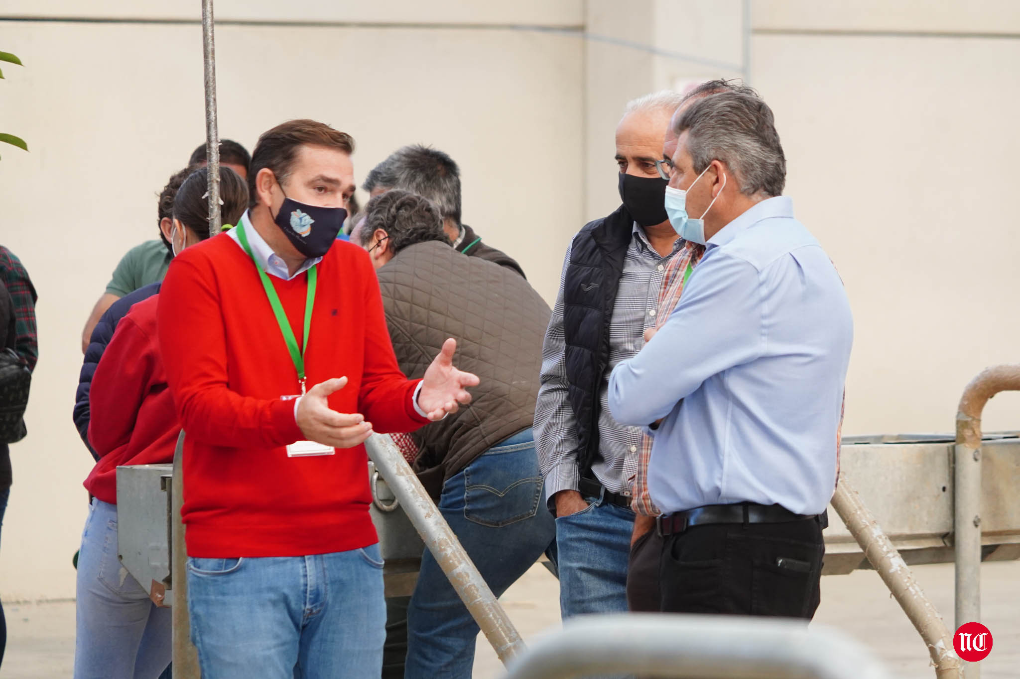 Fotos: La primera subasta on line de ganado vacuno en Salamanca