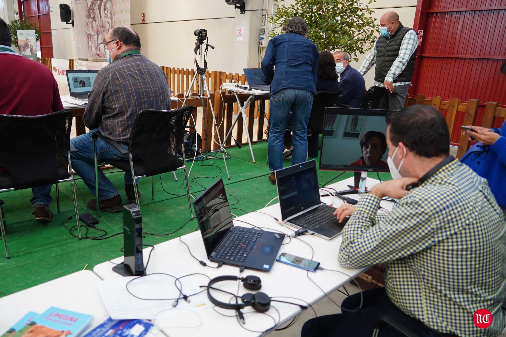 Fotos: La primera subasta on line de ganado vacuno en Salamanca