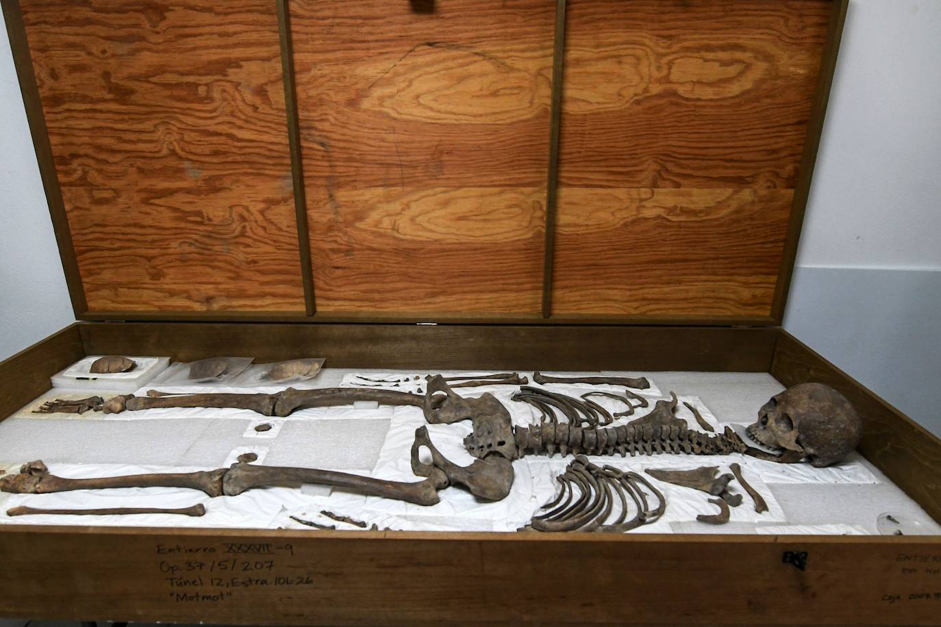 Fotos: La impresionante escalera de jeroglíficos maya