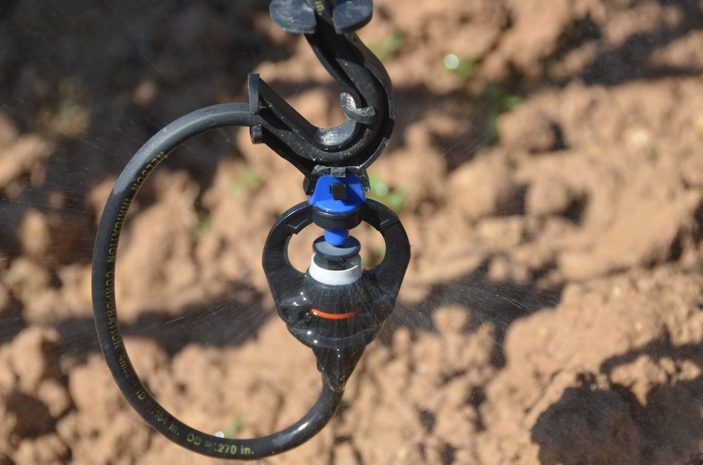 Detalle de un microaspersor en una viña de Tomás Postigo. 