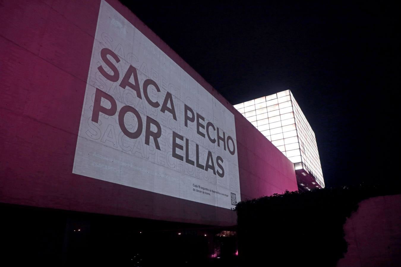 Fotos: Valladolid se viste de rosa