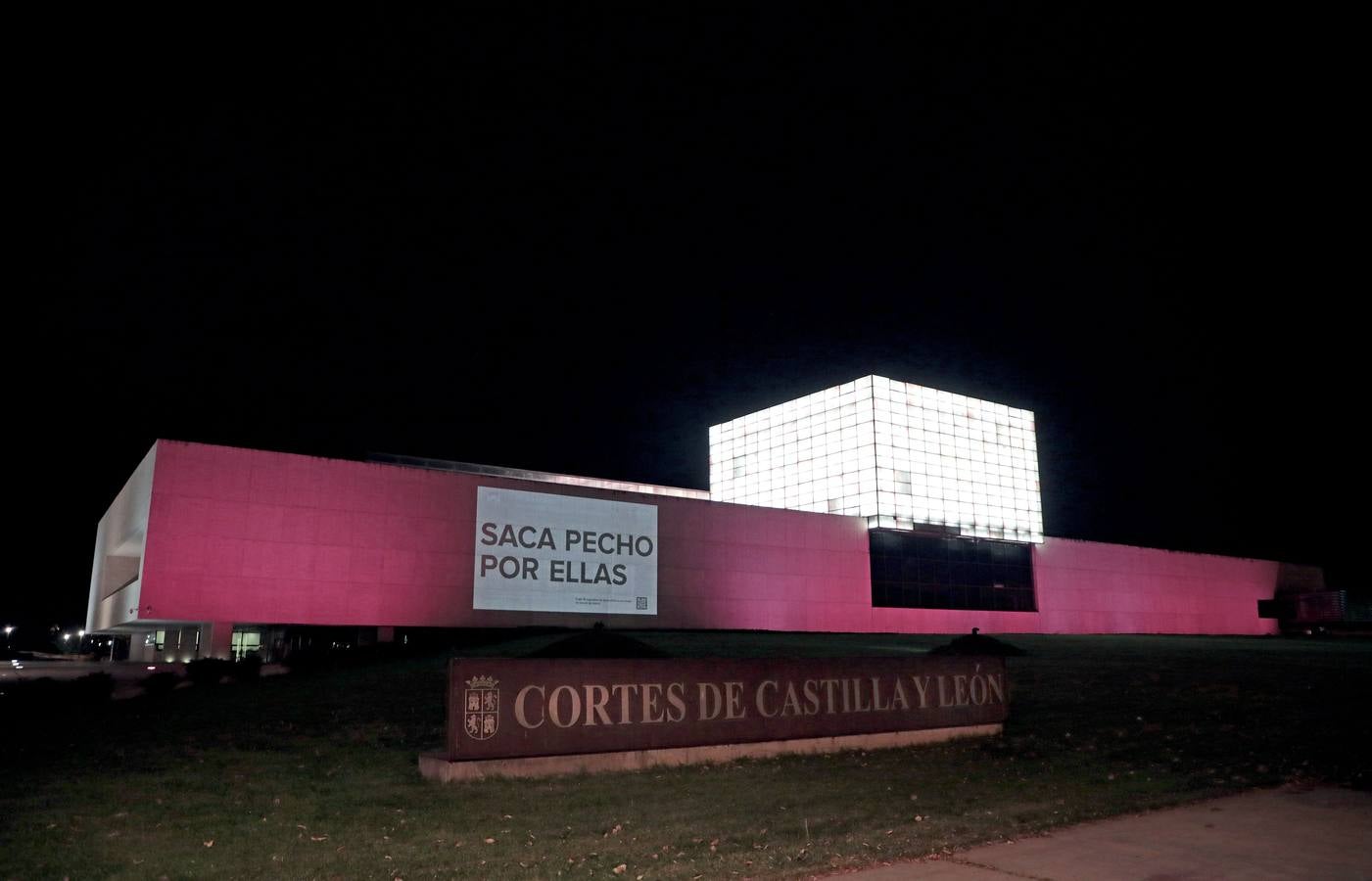 Fotos: Valladolid se viste de rosa