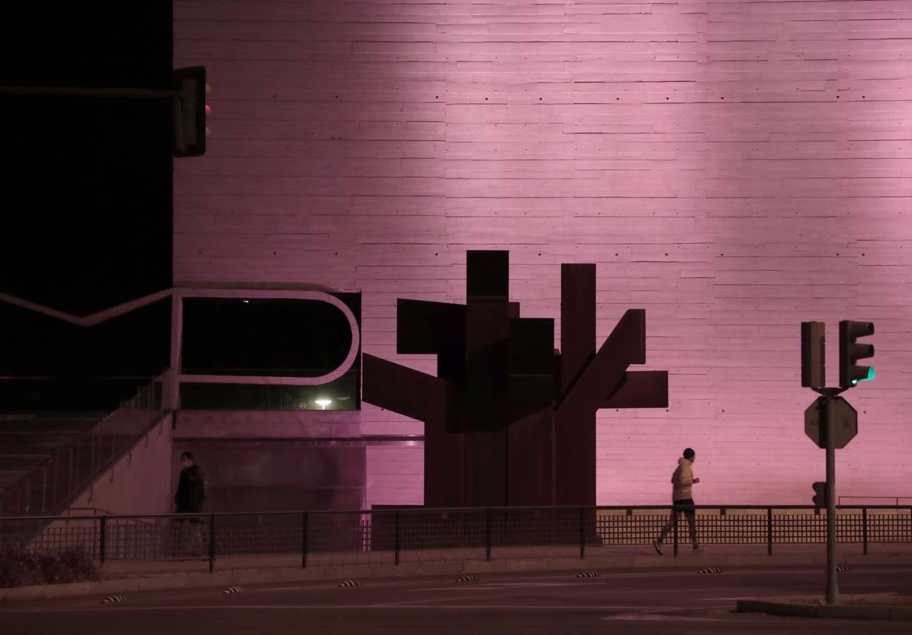 Fotos: Valladolid se viste de rosa