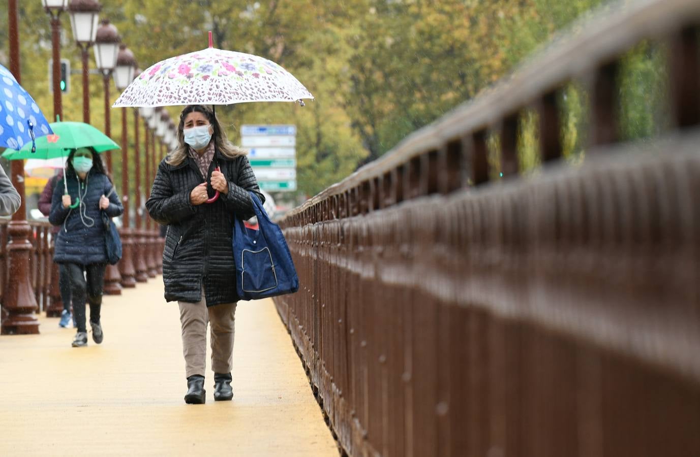 Fotos: Día de lluvia en Valladolid por el paso de la borrasca &#039;Bárbara&#039;