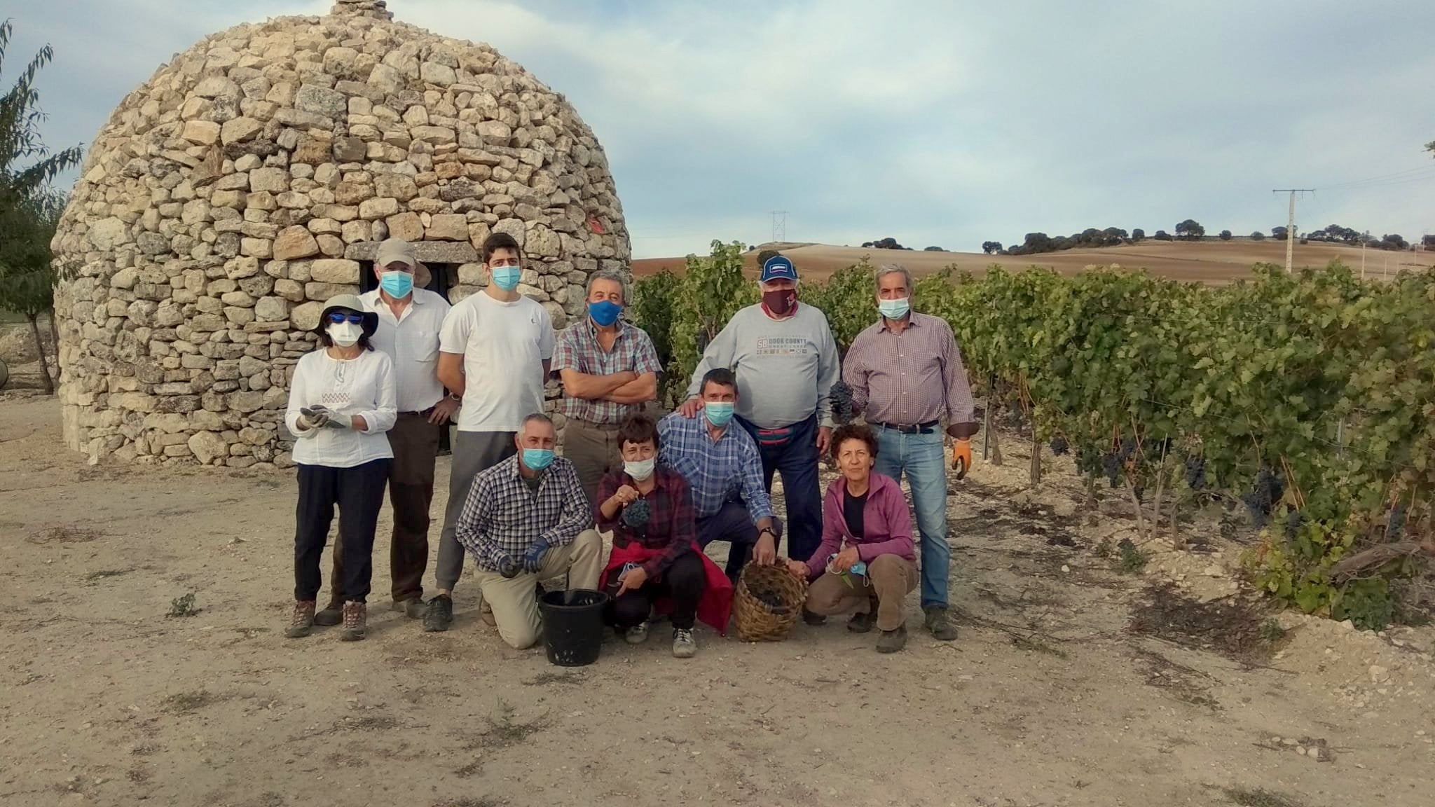Varios miembros de la Asociación durante la vendimia