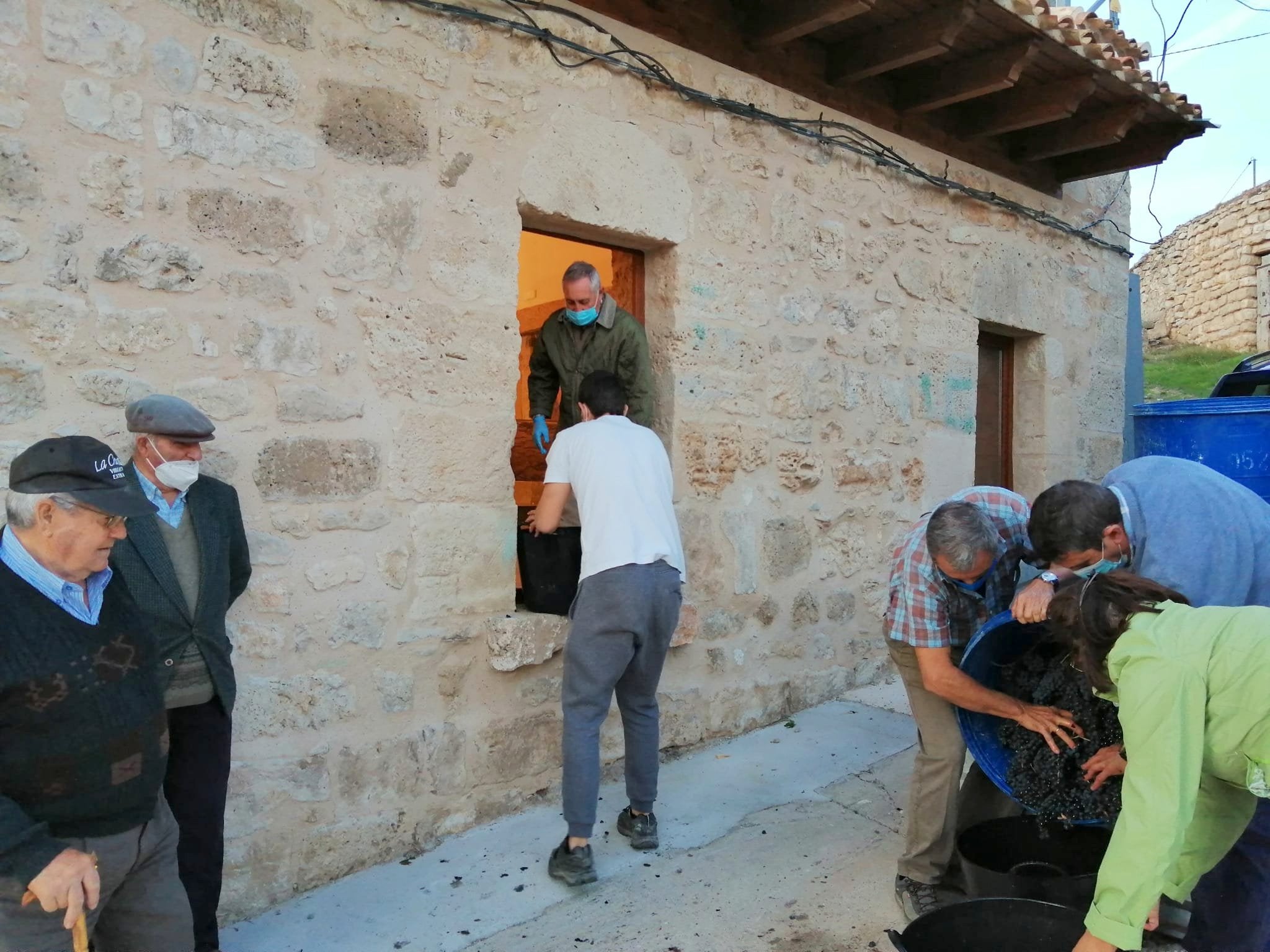 Varios miembros de la Asociación durante la vendimia