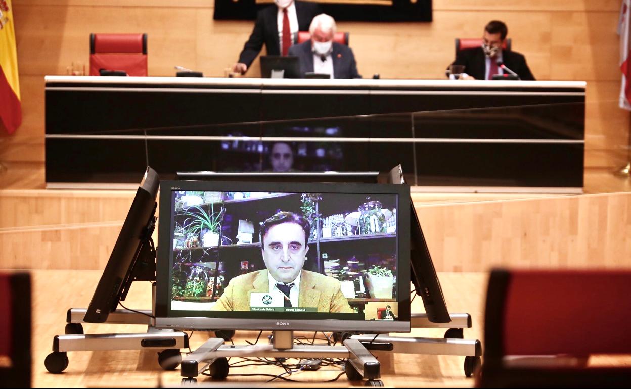 El empresario Alberto Esgueva comparece vía telemática en la comisión de las Cortes. 