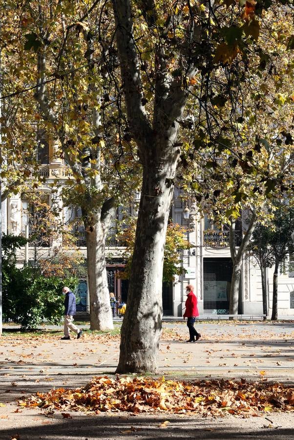 Fotos: Otoño en Valladolid