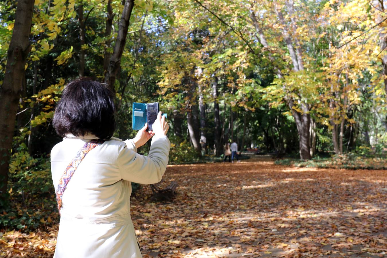 Fotos: Otoño en Valladolid