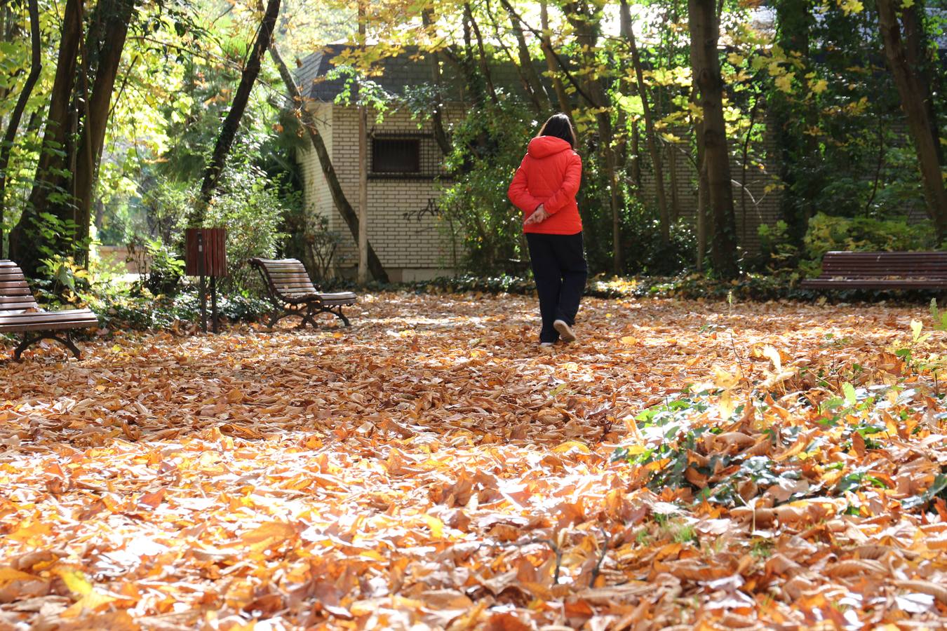 Fotos: Otoño en Valladolid