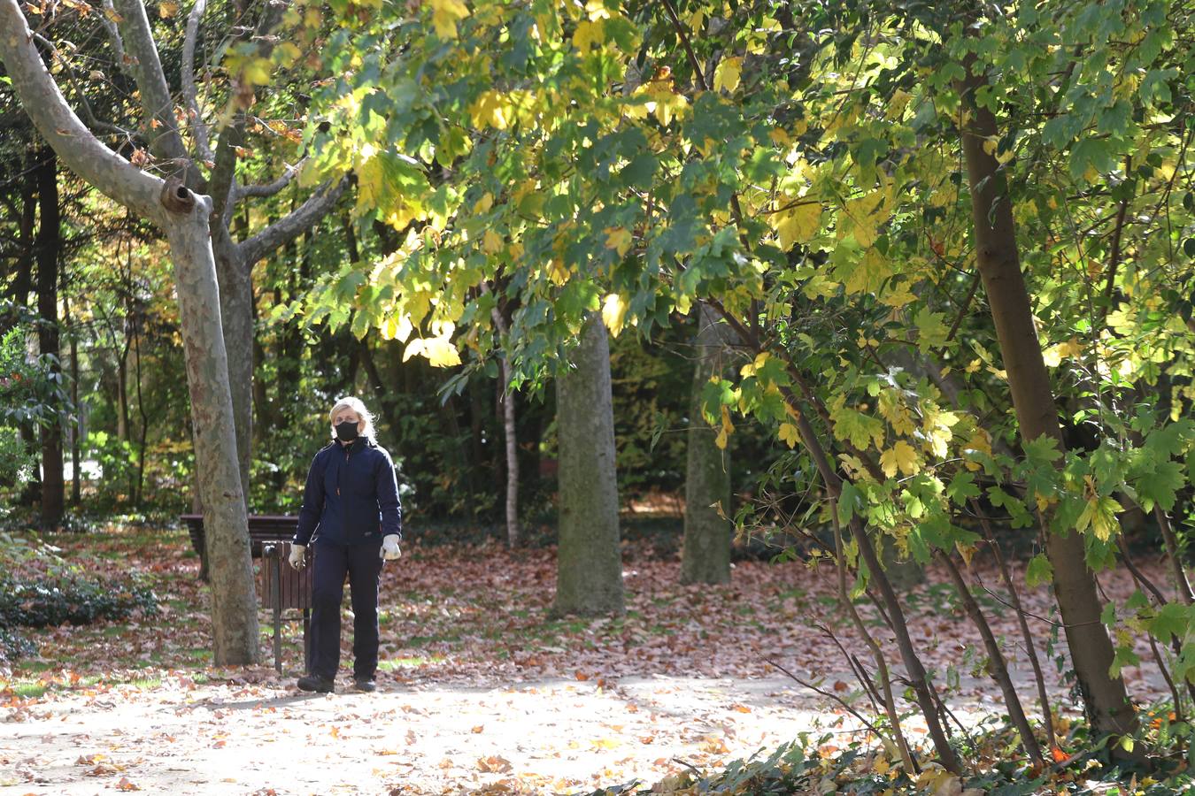 Fotos: Otoño en Valladolid