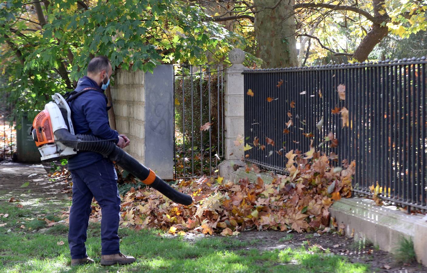 Fotos: Otoño en Valladolid