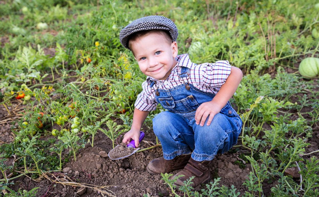 Niño jugando en un huerto.