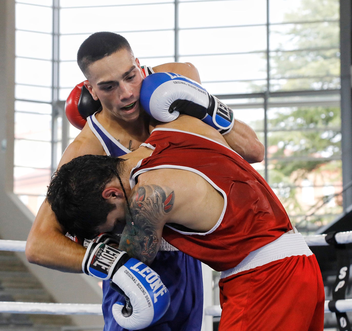 Palencia disfruta del boxeo olímpico.