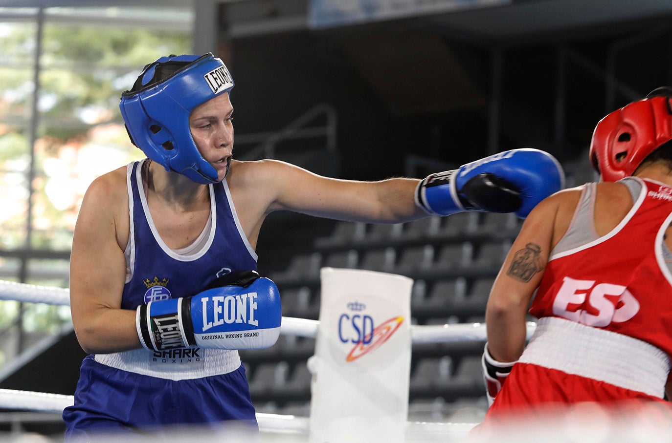 Palencia disfruta del boxeo olímpico.