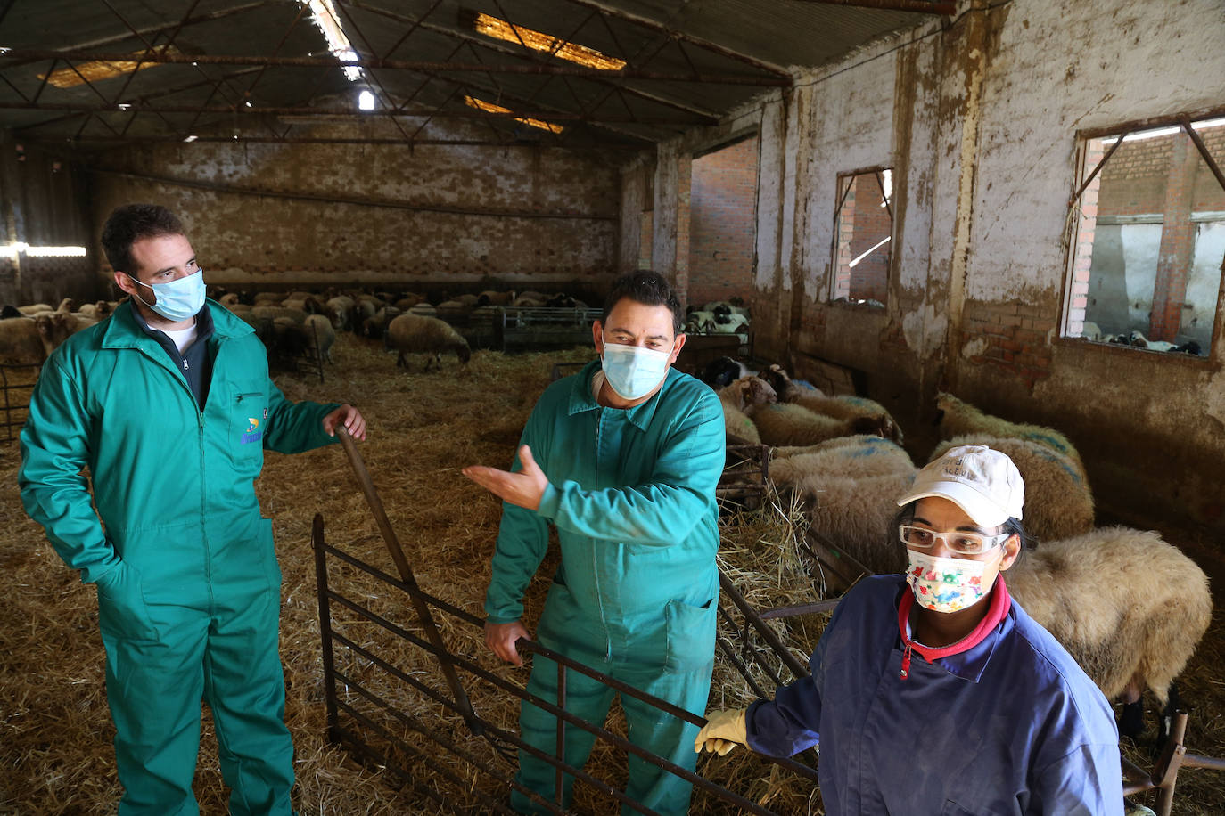 Parreño, Díez y Paniagua muestran el corral de la Titularidad Compartida.