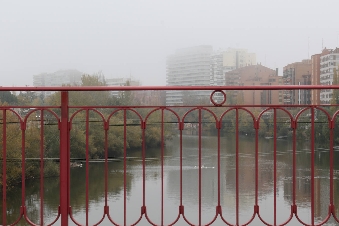 Fotos: Jornada de niebla en Valladolid