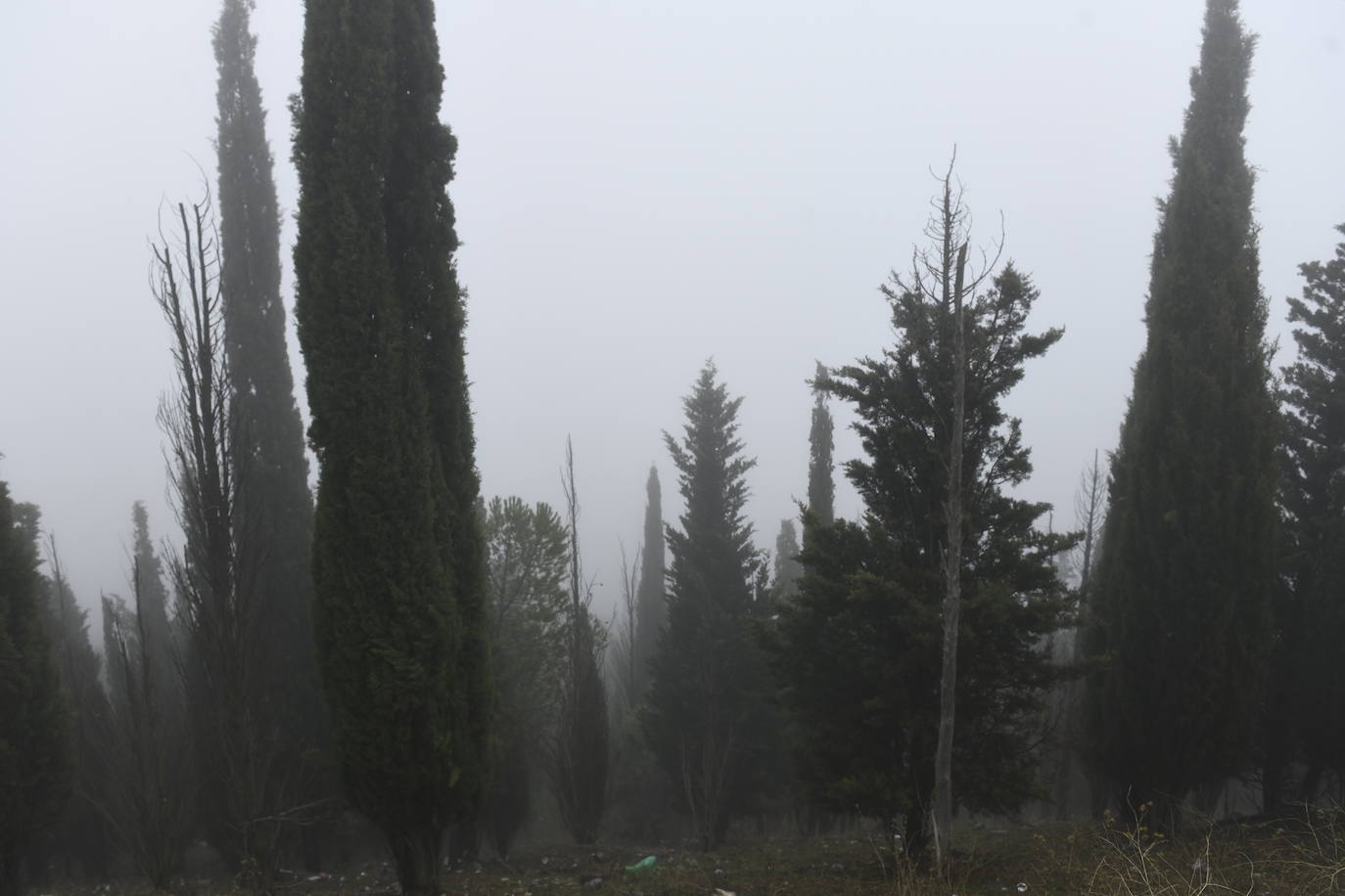 Fotos: Jornada de niebla en Valladolid