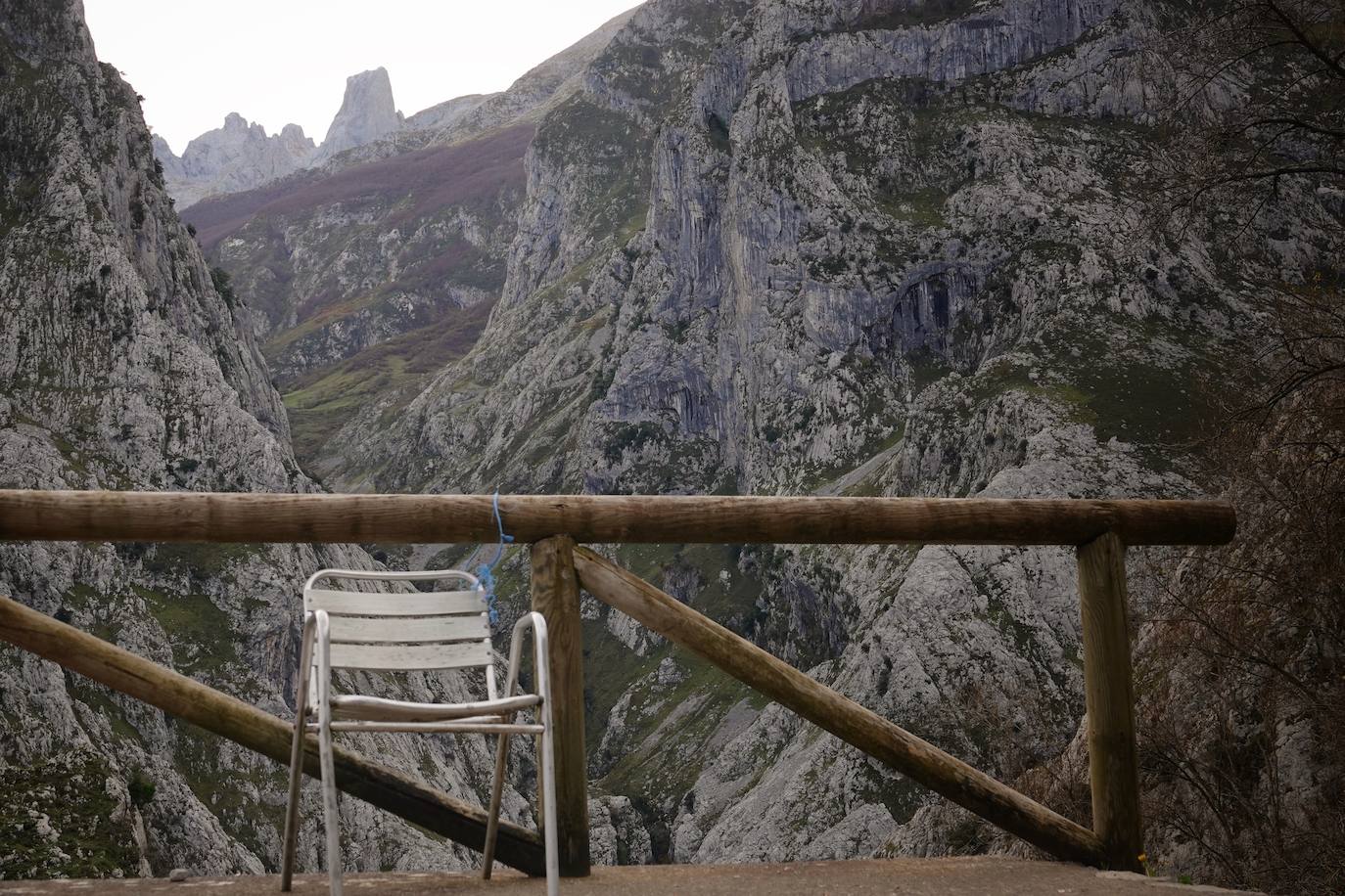 Fotos: Los colores del otoño visten los Picos de Europa