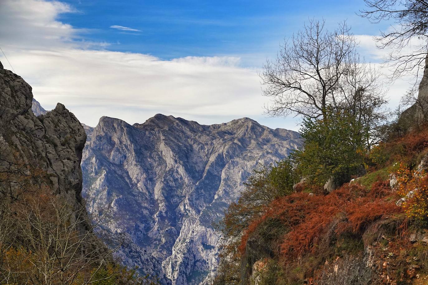 Fotos: Los colores del otoño visten los Picos de Europa