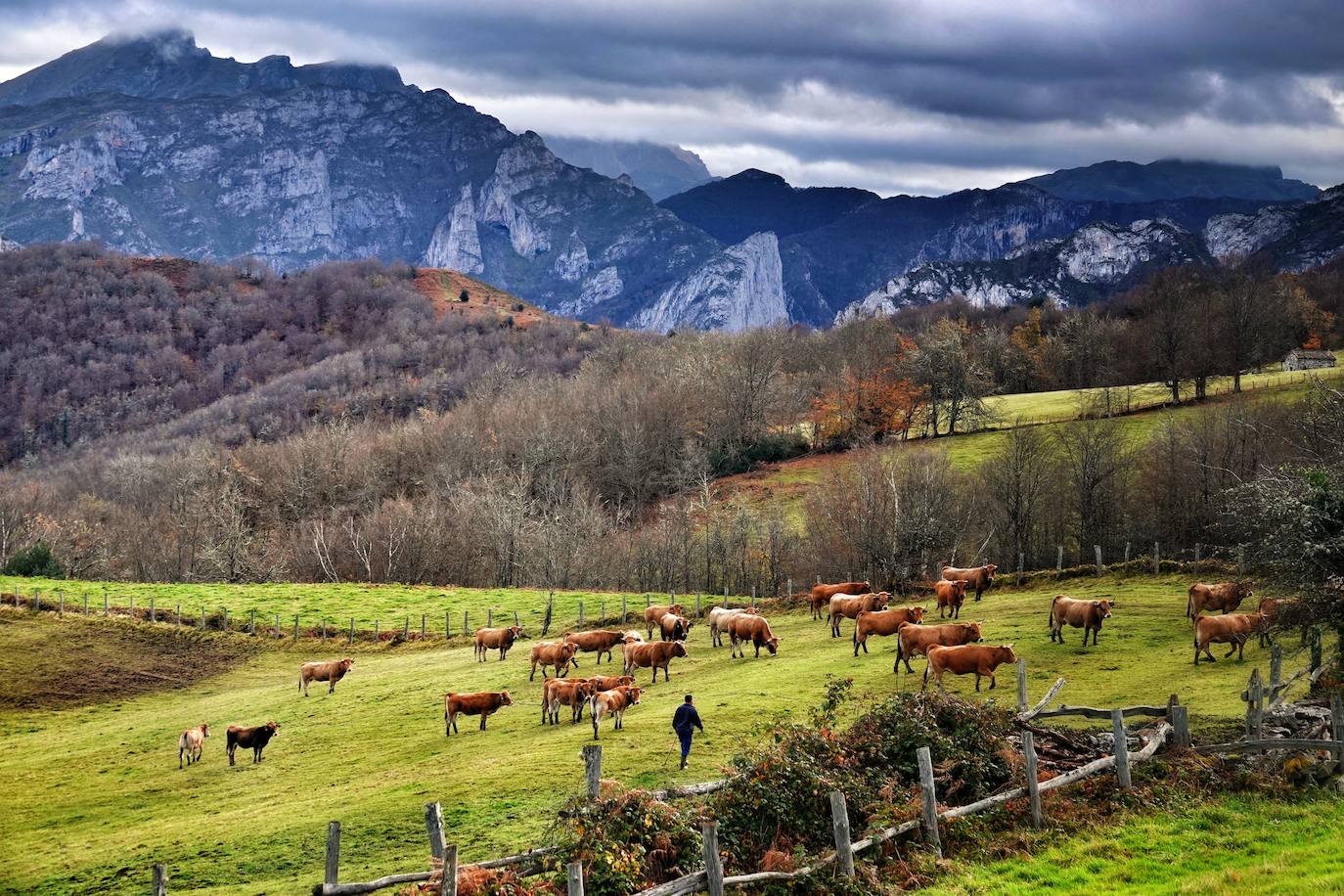 Fotos: Los colores del otoño visten los Picos de Europa