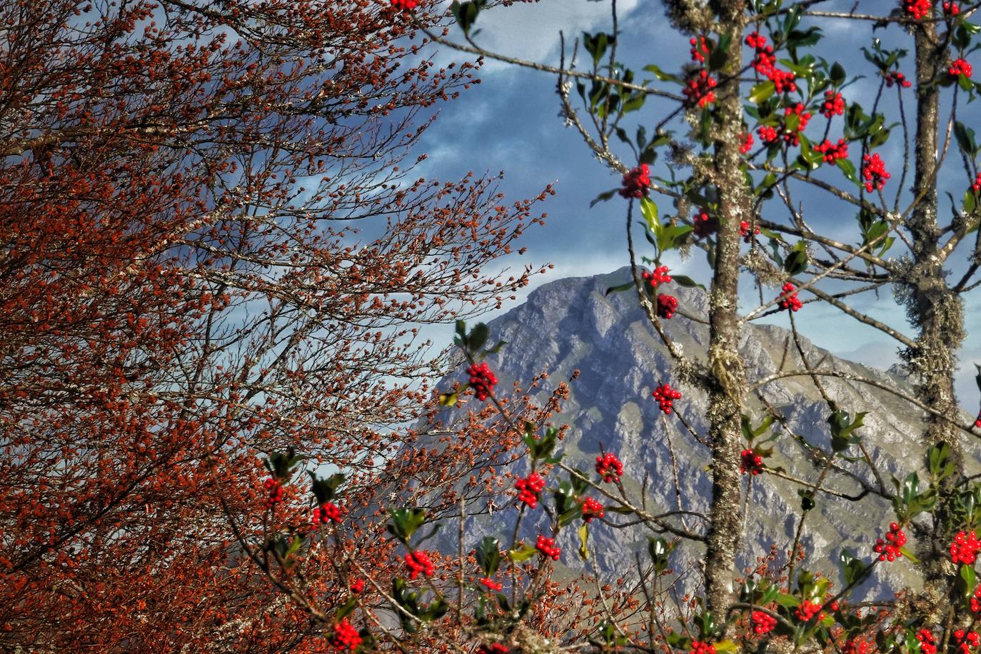 Fotos: Los colores del otoño visten los Picos de Europa