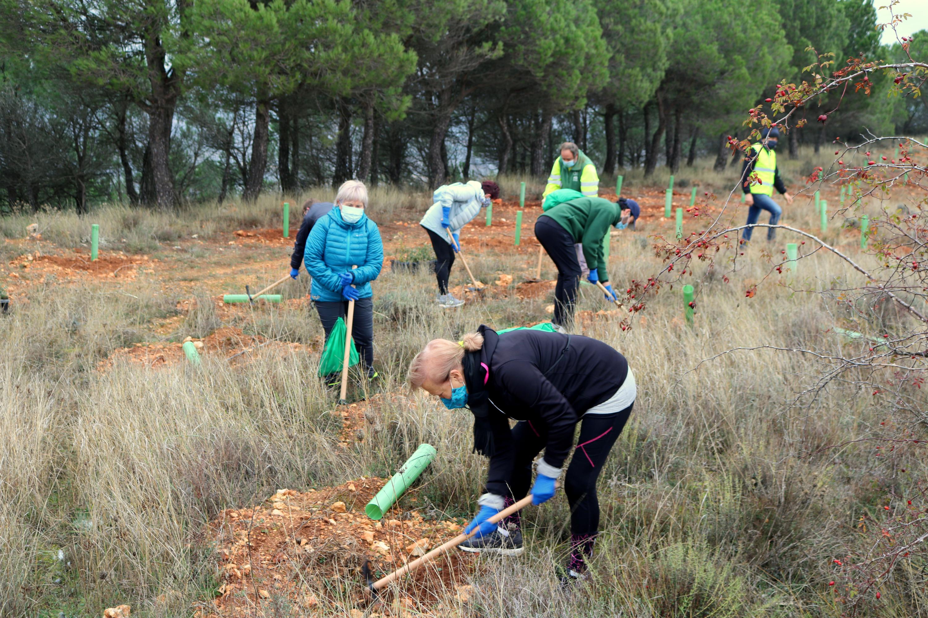 Más de 150 vecinos participaron en la plantación llevada a cabo en Villamuriel de Cerrato