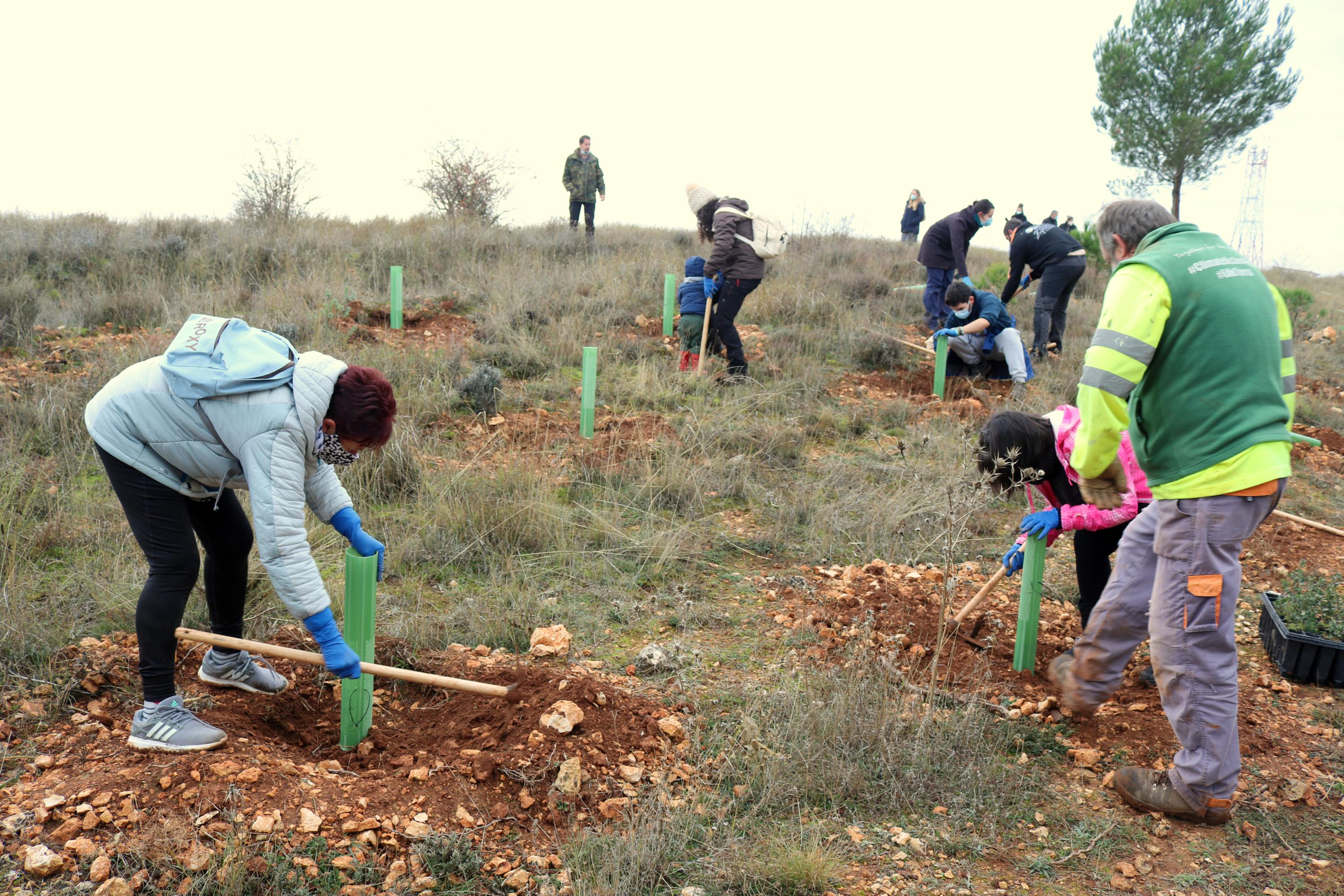 Más de 150 vecinos participaron en la plantación llevada a cabo en Villamuriel de Cerrato