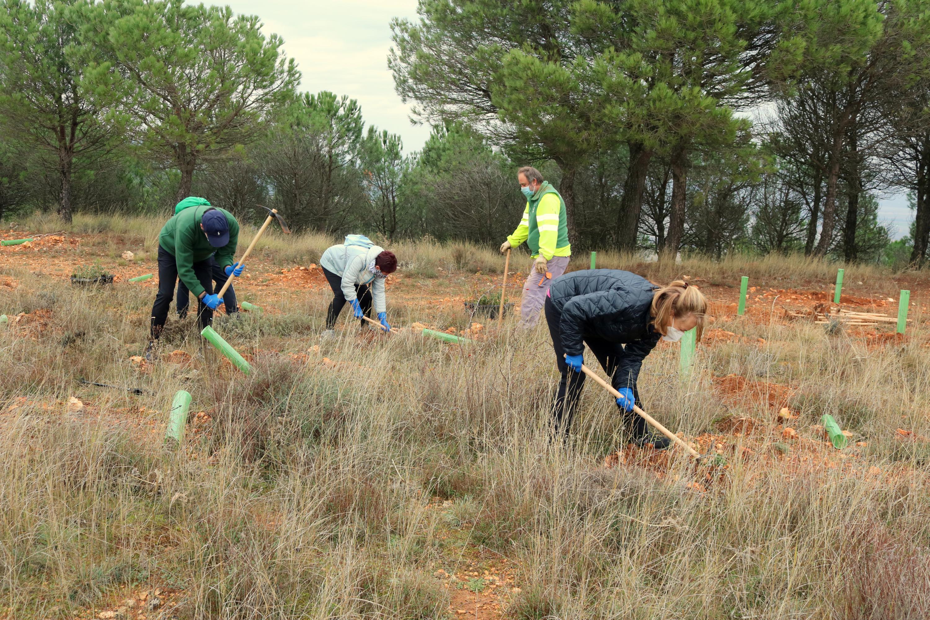 Más de 150 vecinos participaron en la plantación llevada a cabo en Villamuriel de Cerrato