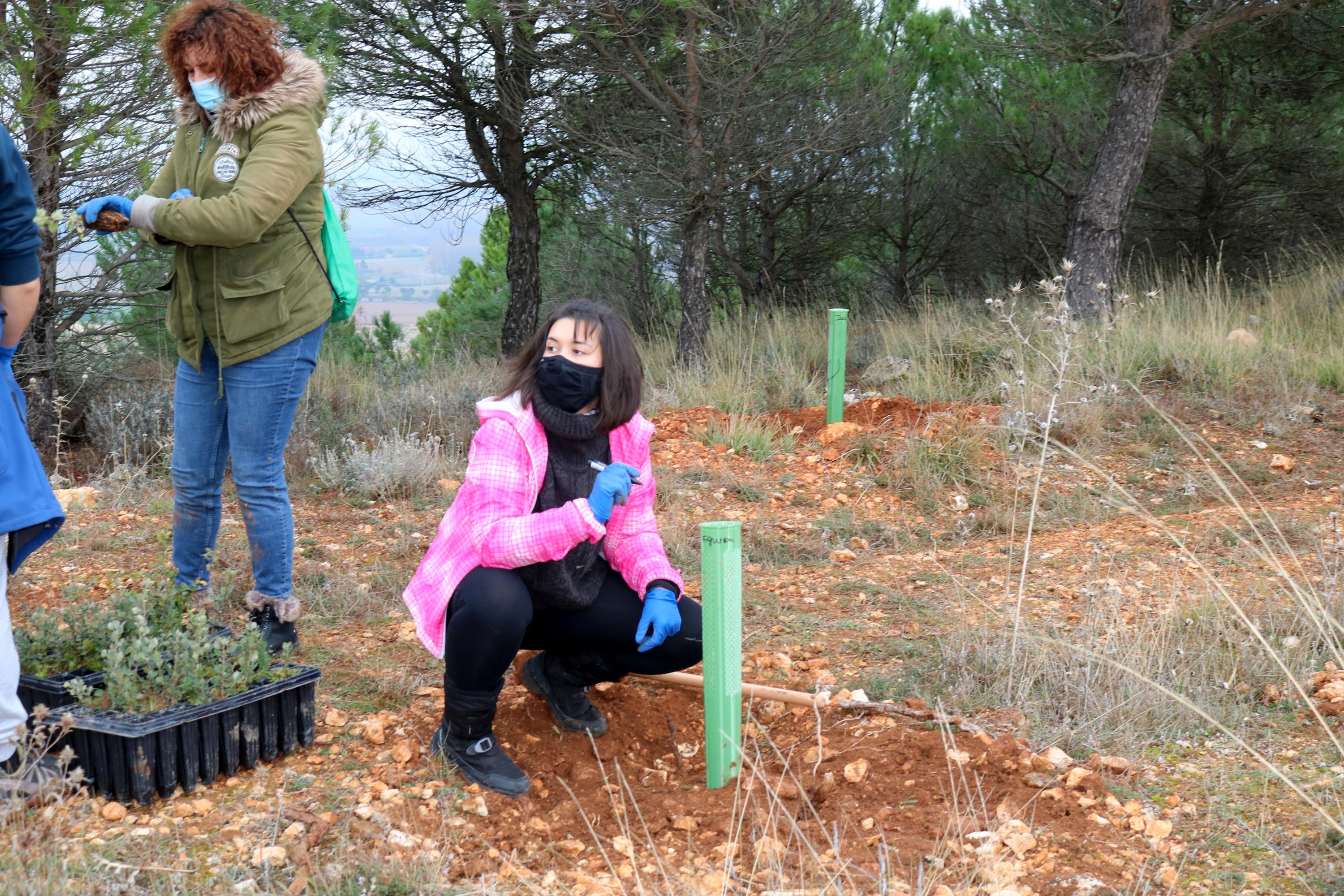 Más de 150 vecinos participaron en la plantación llevada a cabo en Villamuriel de Cerrato