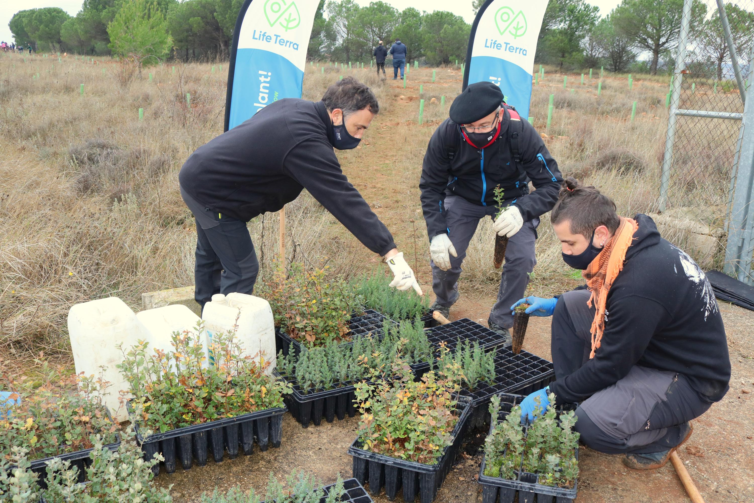 Más de 150 vecinos participaron en la plantación llevada a cabo en Villamuriel de Cerrato