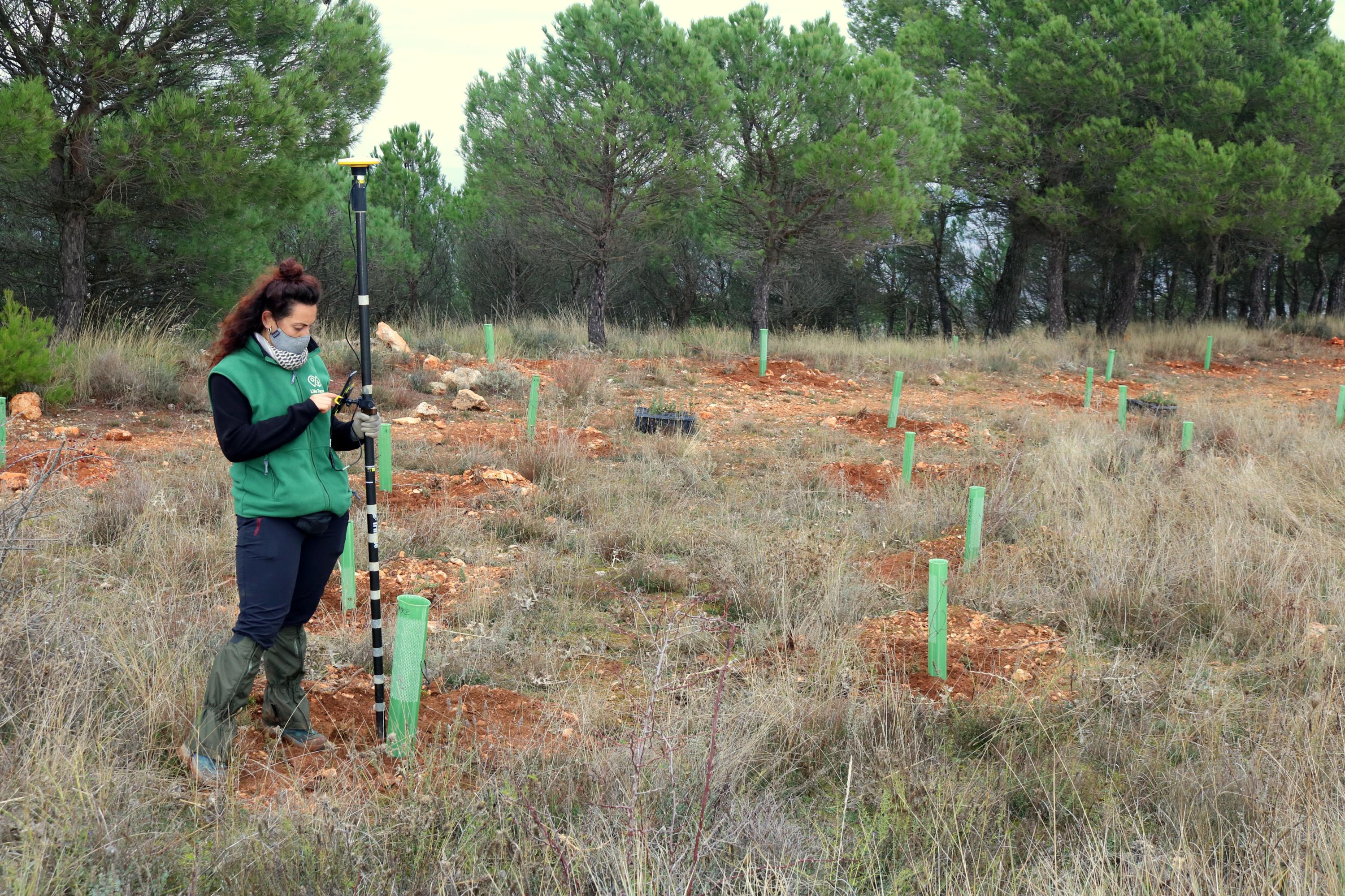 Más de 150 vecinos participaron en la plantación llevada a cabo en Villamuriel de Cerrato