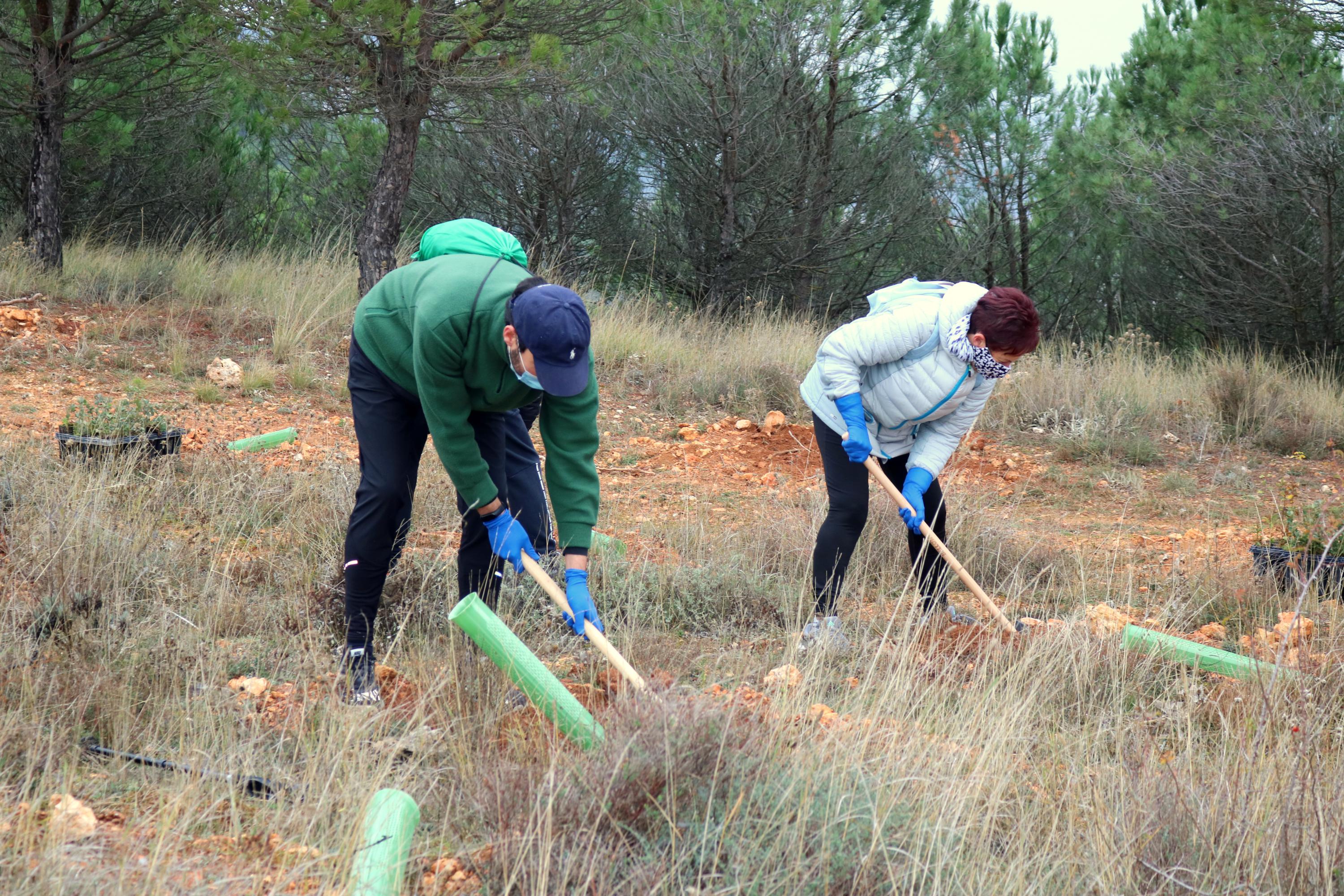 Más de 150 vecinos participaron en la plantación llevada a cabo en Villamuriel de Cerrato