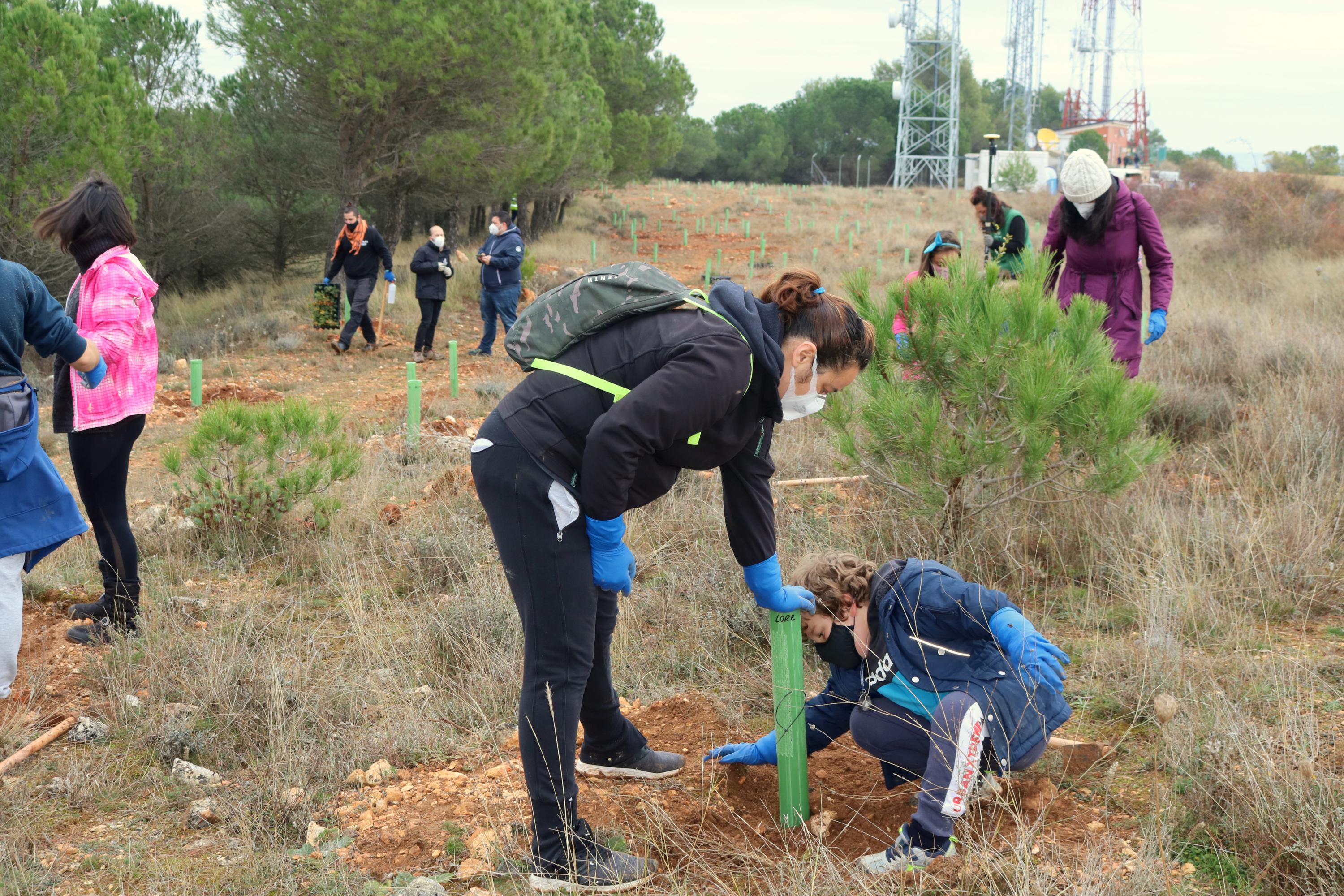 Más de 150 vecinos participaron en la plantación llevada a cabo en Villamuriel de Cerrato